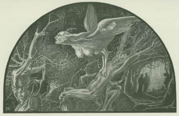 Vol.%20Z%20174%2C%20tav.%2059